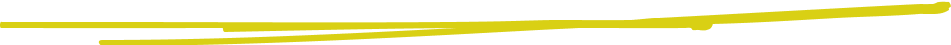 Vector 190 (Stroke)